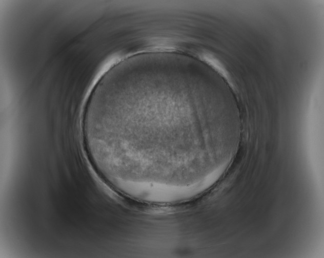 X0000085271475200703301844