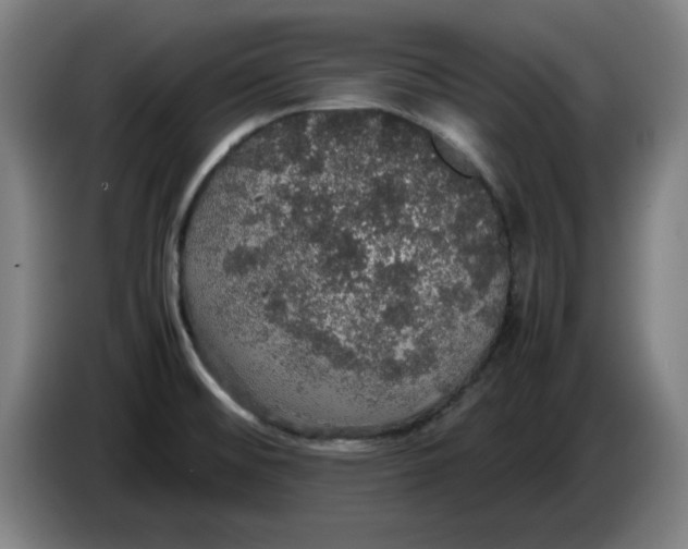 X0000085271476200703301844