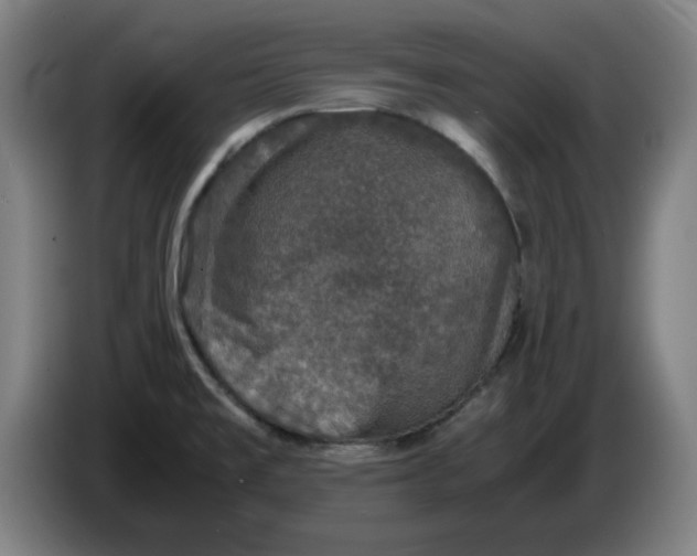 X0000085271477200703301843