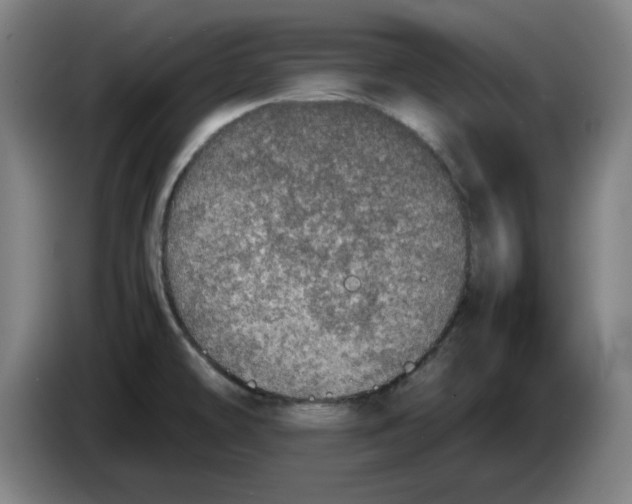 X0000085271478200703301843