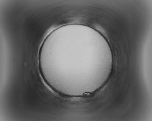 X0000085271479200703301843