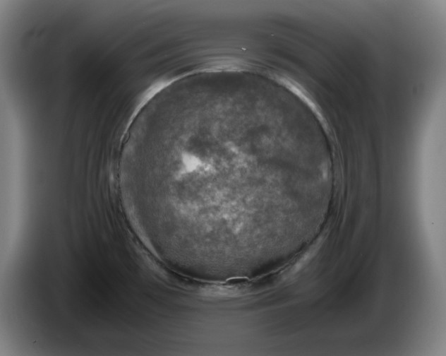 X0000085271481200703301843