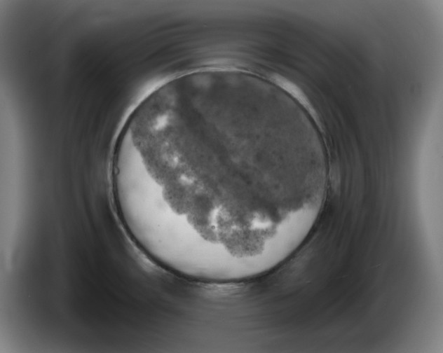 X0000085271482200703301843