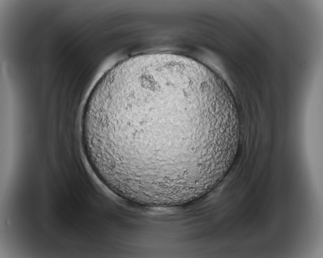 X0000085271483200703301843