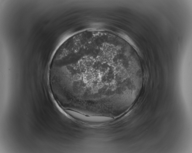 X0000085271484200703301843