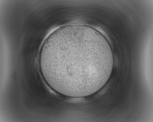 X0000085271486200703301843