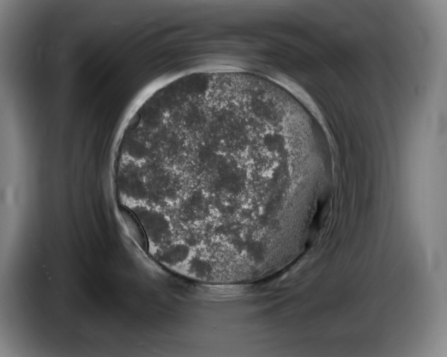 X0000085271488200703301843