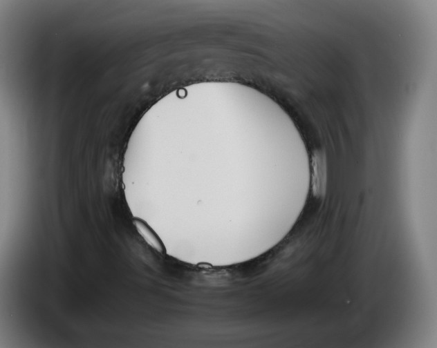 X0000085271491200703301843