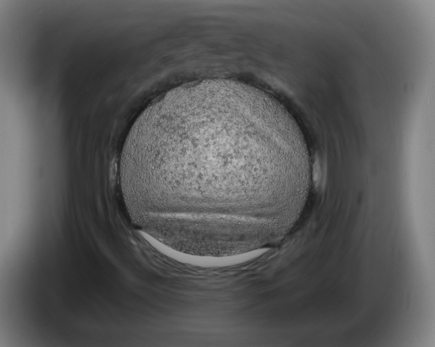 X0000085271492200703301843