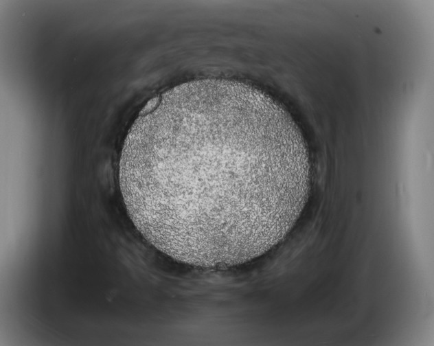 X0000085271493200703301843