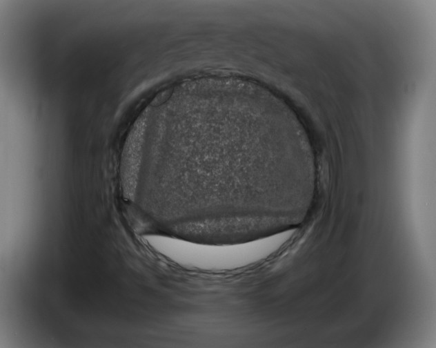 X0000085271494200703301843