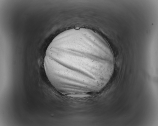 X0000085271495200703301843