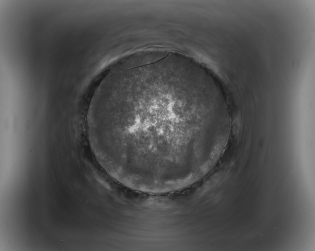 X0000085271496200703301843