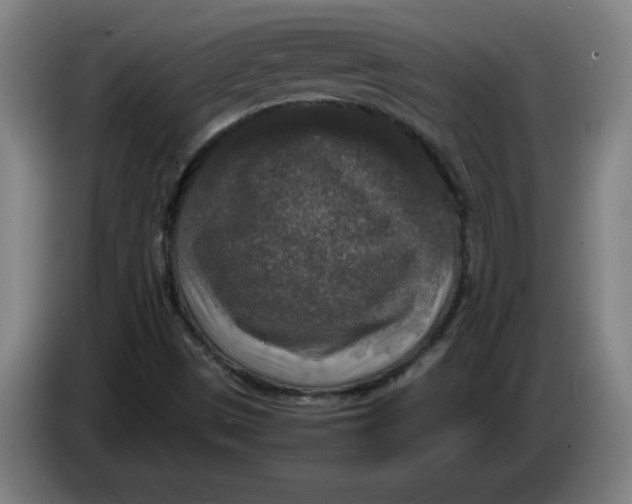 X0000085271497200703301843