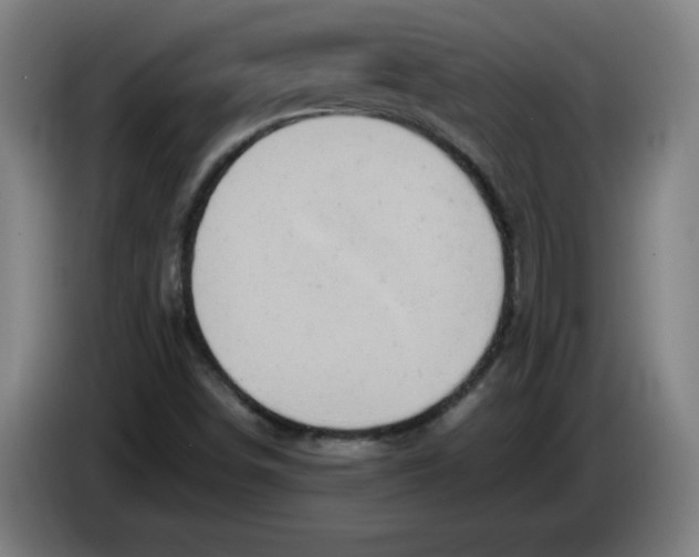 X0000085271498200703301843