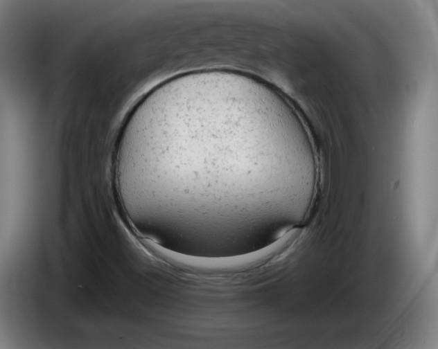 X0000085271500200703301843