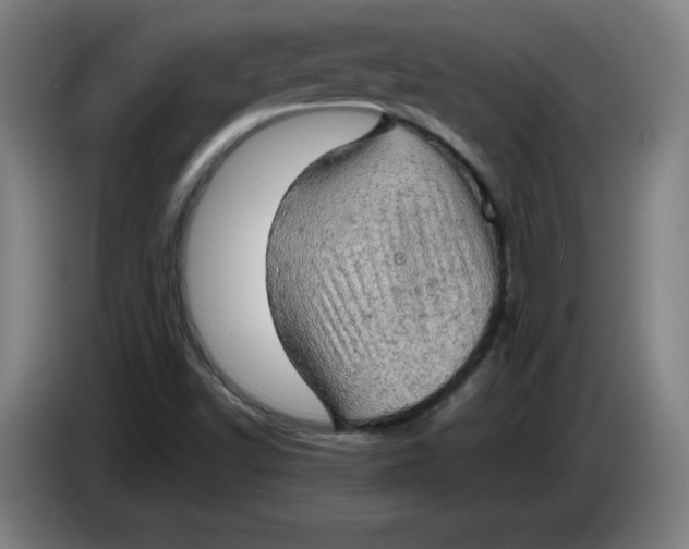 X0000085271502200703301843