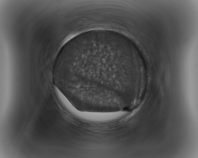 X0000085271505200703301843