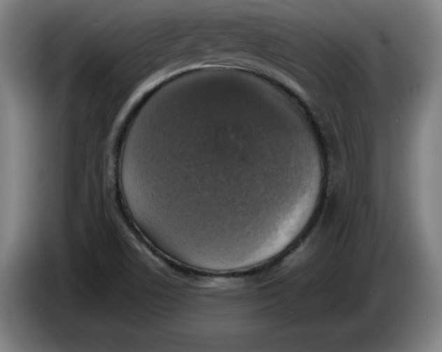 X0000085271506200703301843