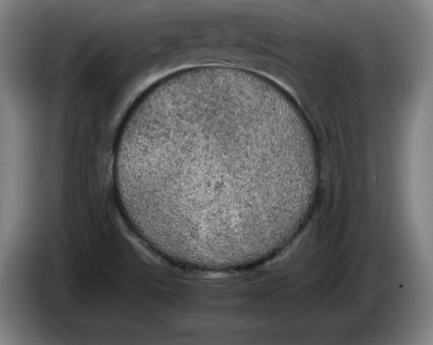 X0000085271507200703301843