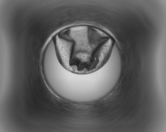 X0000085271508200703301843