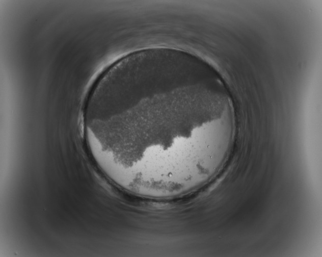 X0000085271509200703301843