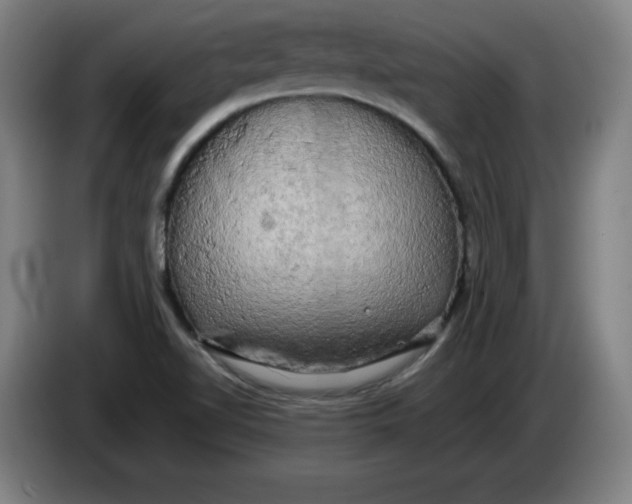 X0000085271510200703301843