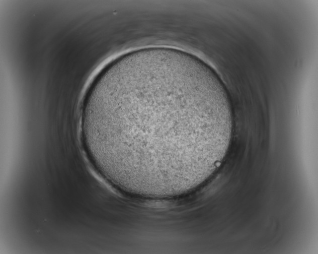 X0000085271511200703301843