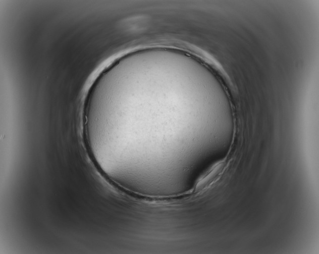 X0000085271512200703301843