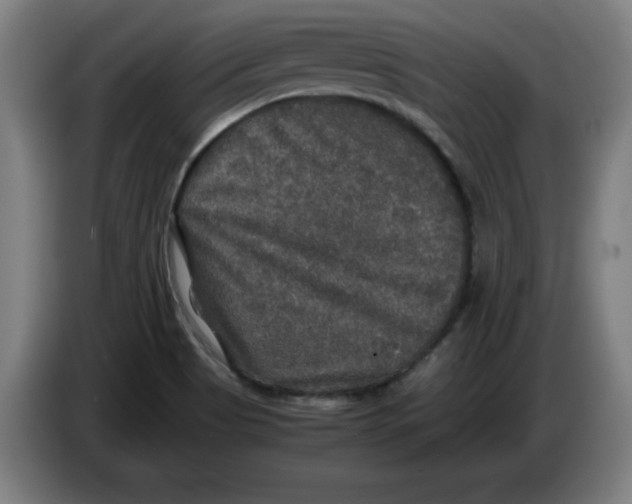 X0000085271513200703301843