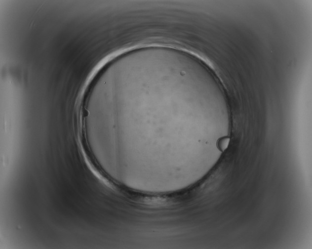 X0000085271515200703301843