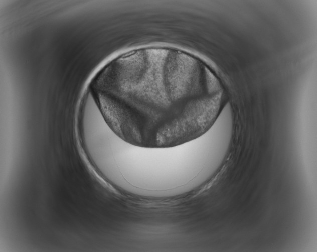 X0000085271518200703301843