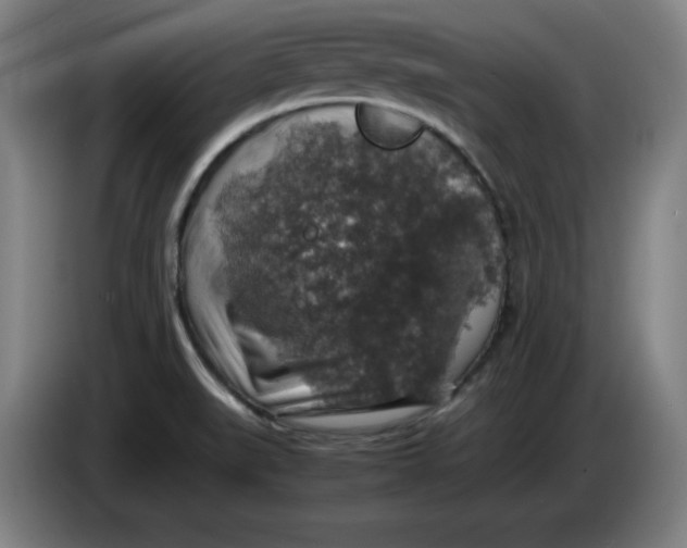 X0000085271519200703301843