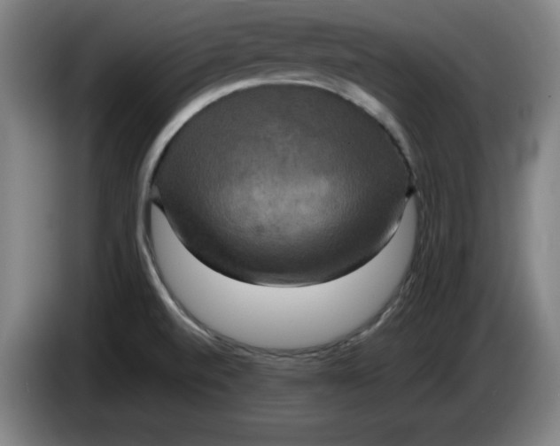 X0000085271520200703301843