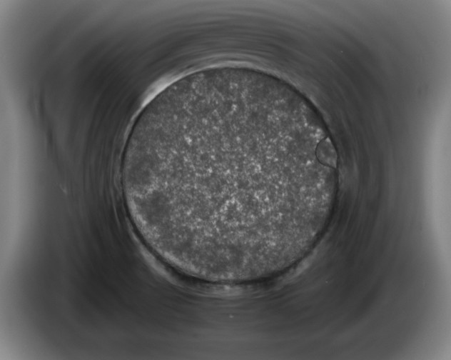 X0000085271521200703301843