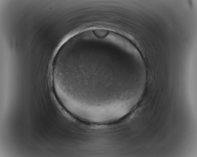 X0000085271522200703301843