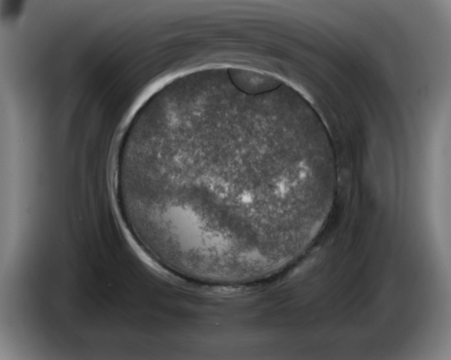 X0000085271523200703301843