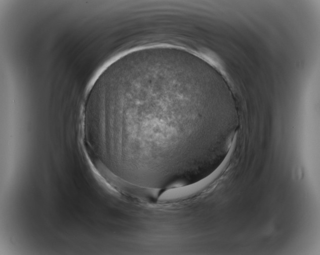 X0000085271524200703301843