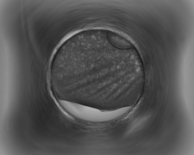 X0000085271525200703301843