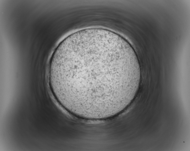 X0000085271526200703301843