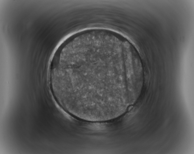 X0000085271527200703301843