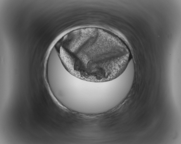 X0000085271528200703301843