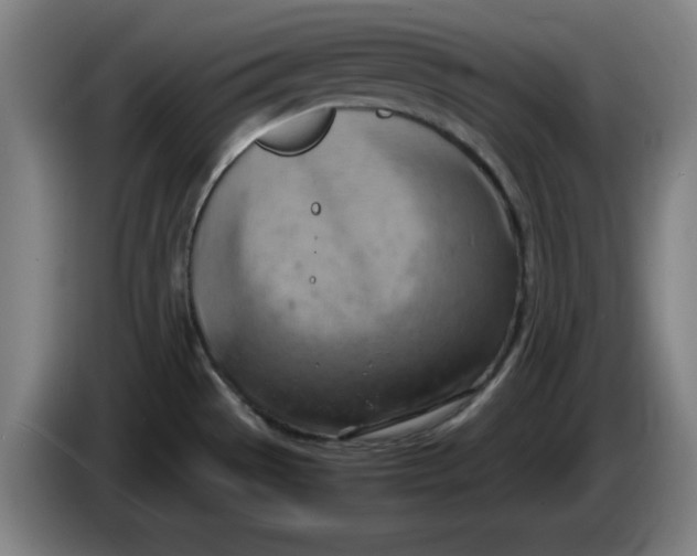 X0000085271529200703301843