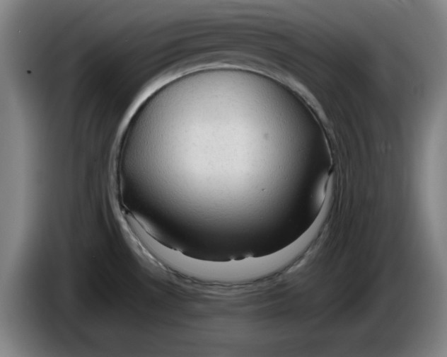 X0000085271530200703301843