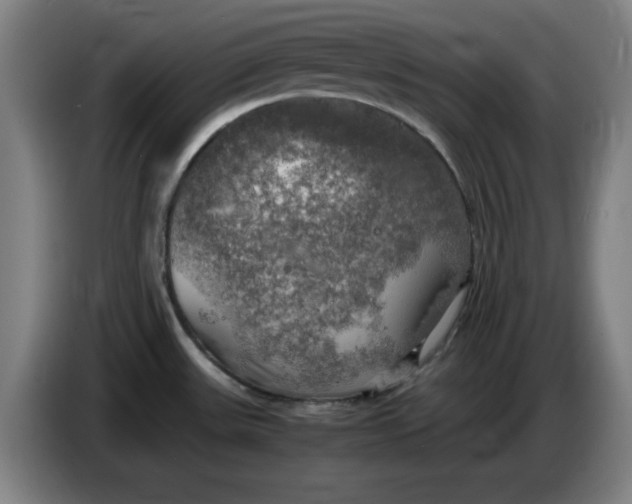 X0000085271531200703301843