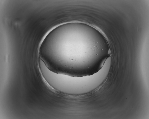 X0000085271532200703301843