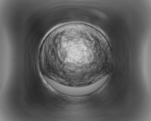 X0000085271534200703301843