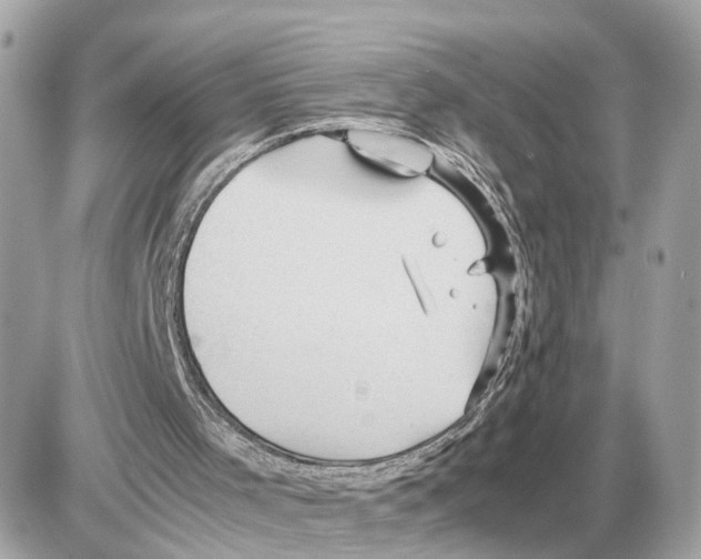 X0000085270001200704092152