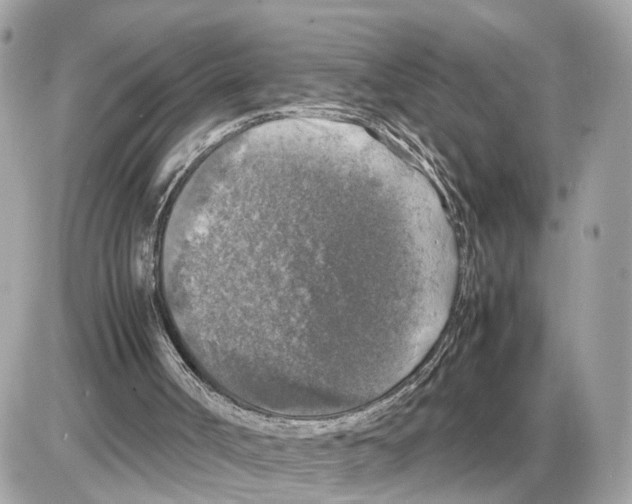 X0000085270002200704092152