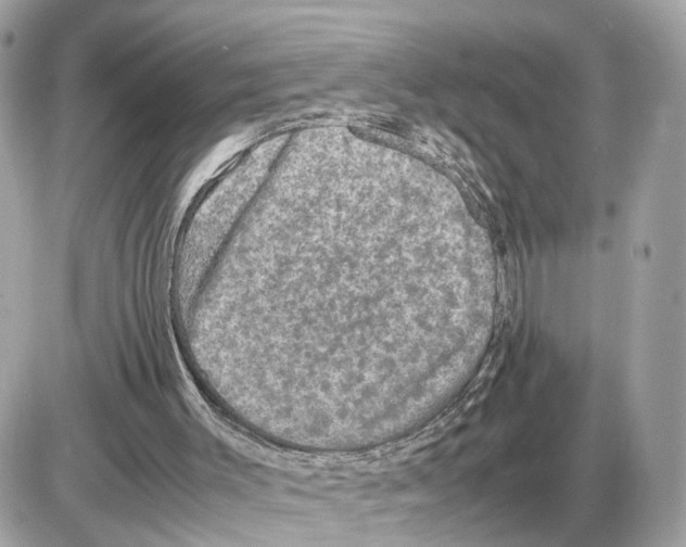 X0000085270003200704092152